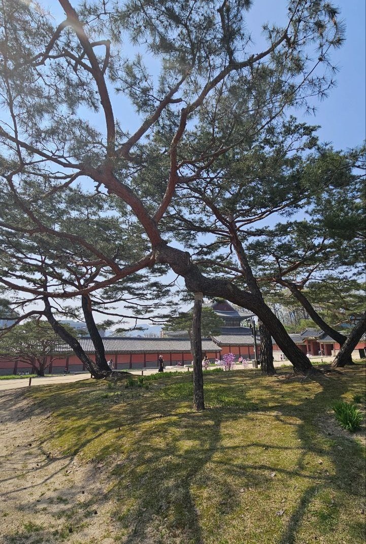 Территория дворца