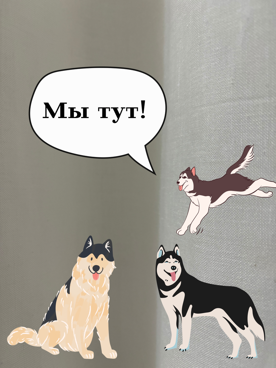 Не о таких лайках я мечтала 😂