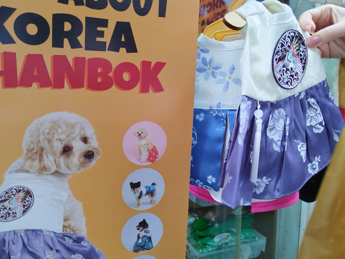 Одежда для животных в традиционном стиле