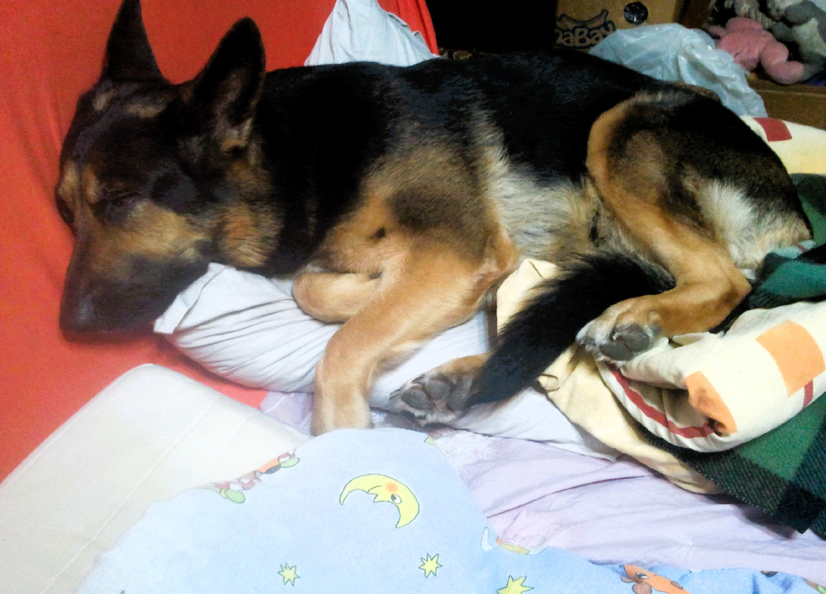 Фото автора