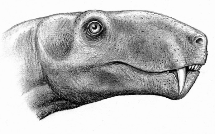 Реставрация внешнего облика.