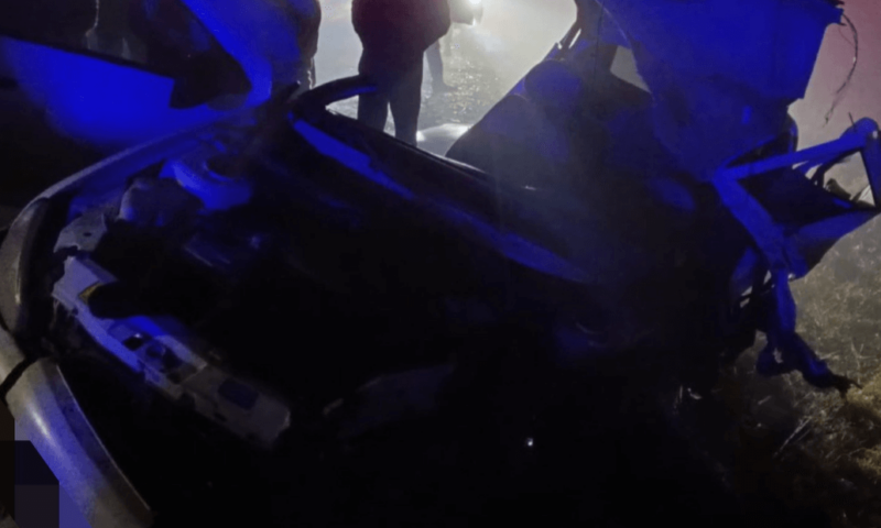    Фото t.me/gibdd123region