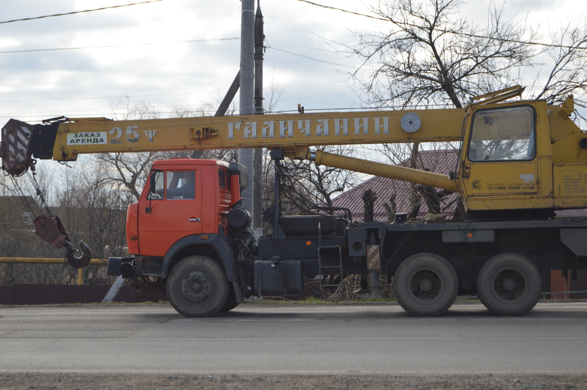 Фото автора. 21.01.2025. Волка ноги кормят.