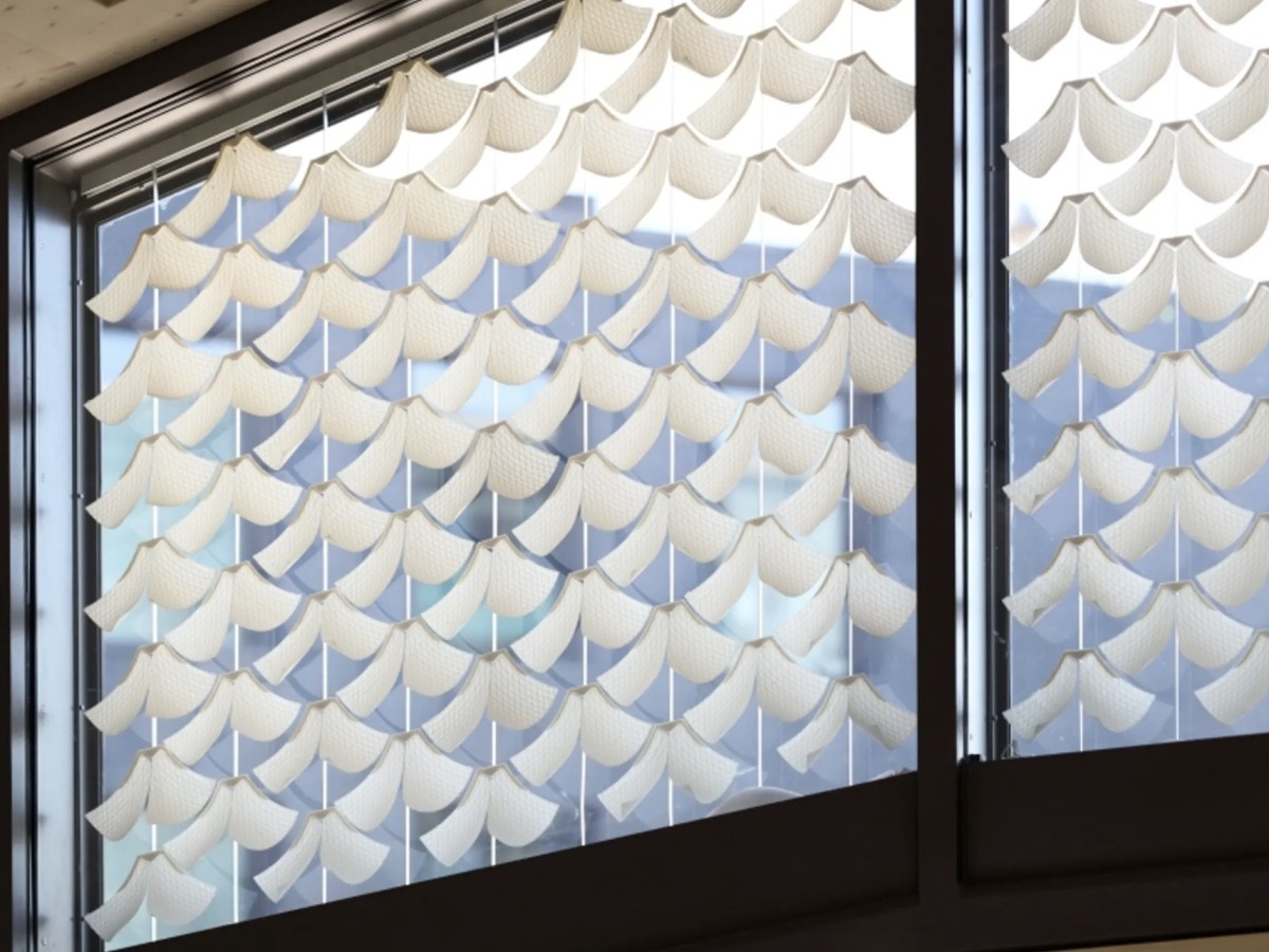    Самозатемняющиеся окна вдохновлены сосновыми шишками