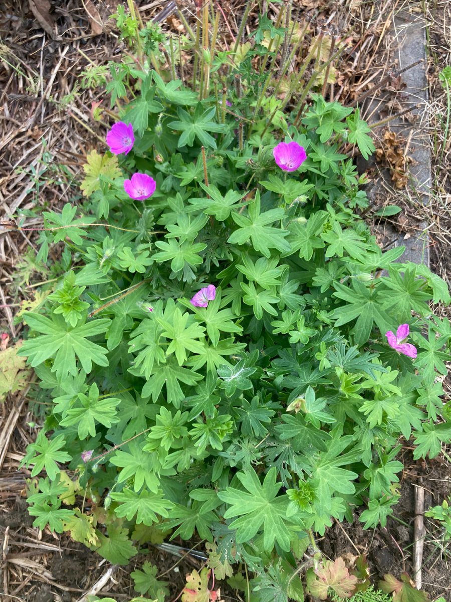 А на вид такая скромница. Фото автора