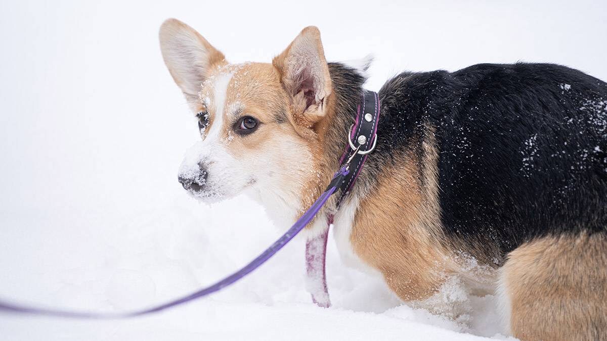    Фото: Анна Темнышова / Вечерняя Москва
