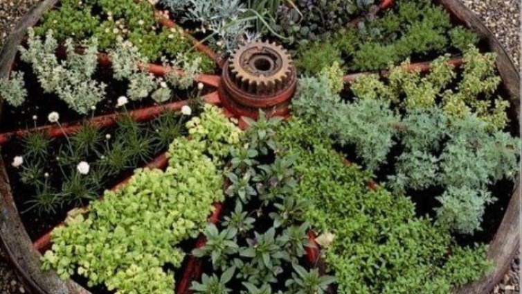 Фото с pinterest.com