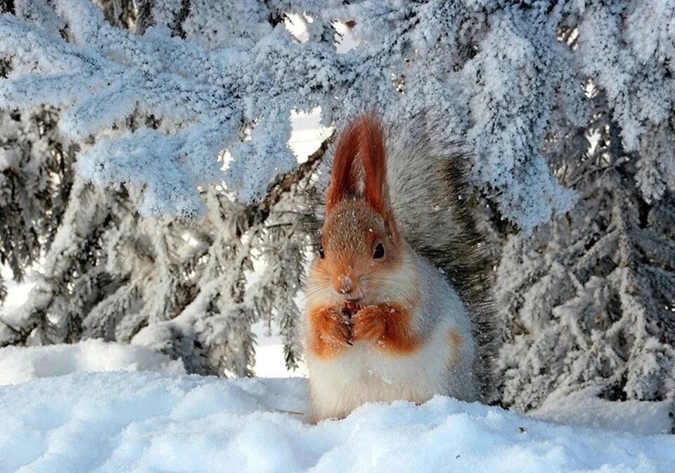 Фотография с сайта: https://www.kaluga.kp.ru/daily/27479/4687948/
