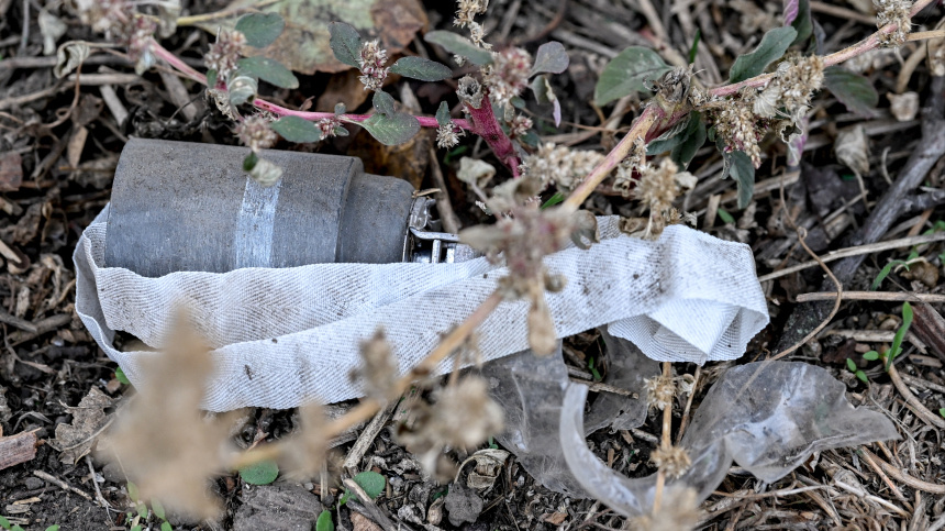    Фото: © РИА Новости/Константин Михальчевский