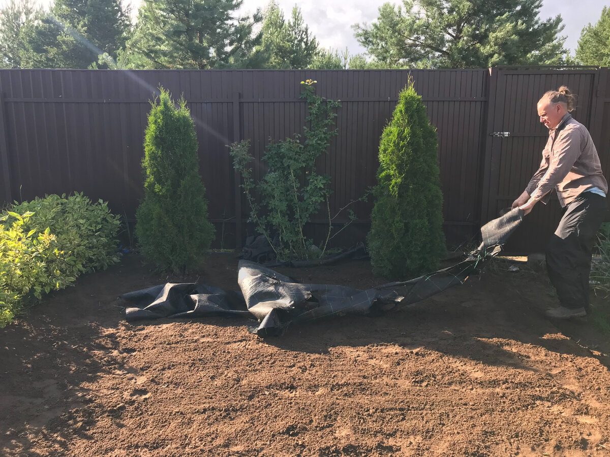 снимаем агроткань, которой уже три года