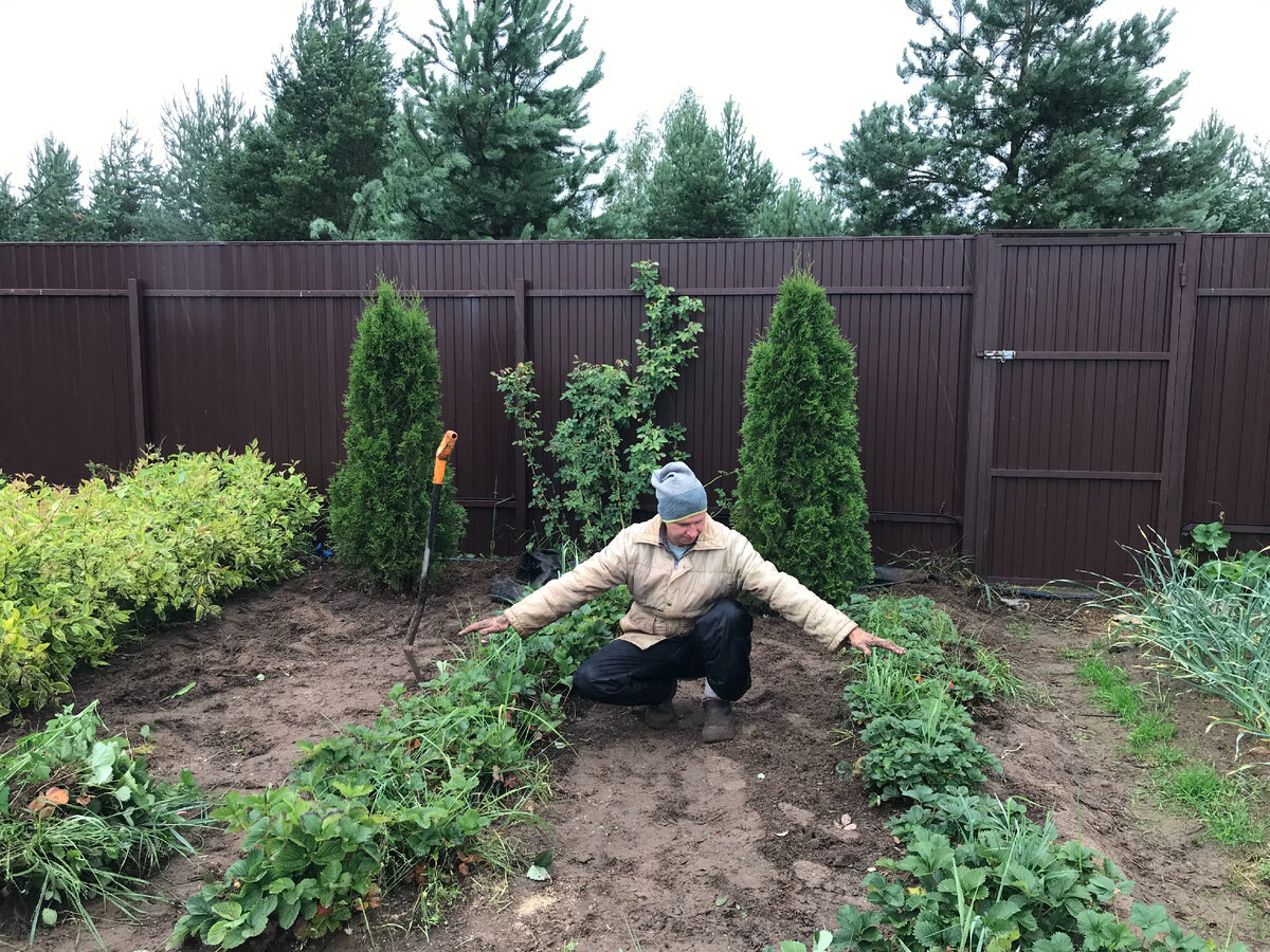 19 июля 2023 года. Оставленные кусты для размножения