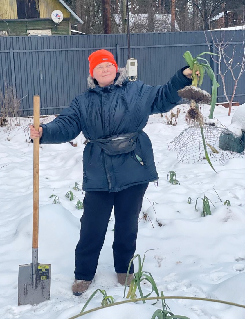 20 января 2025 г. Сорт Элефант