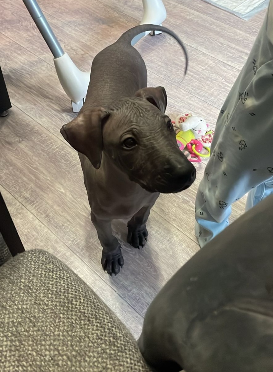 Контроль выполнения реставрационных работ