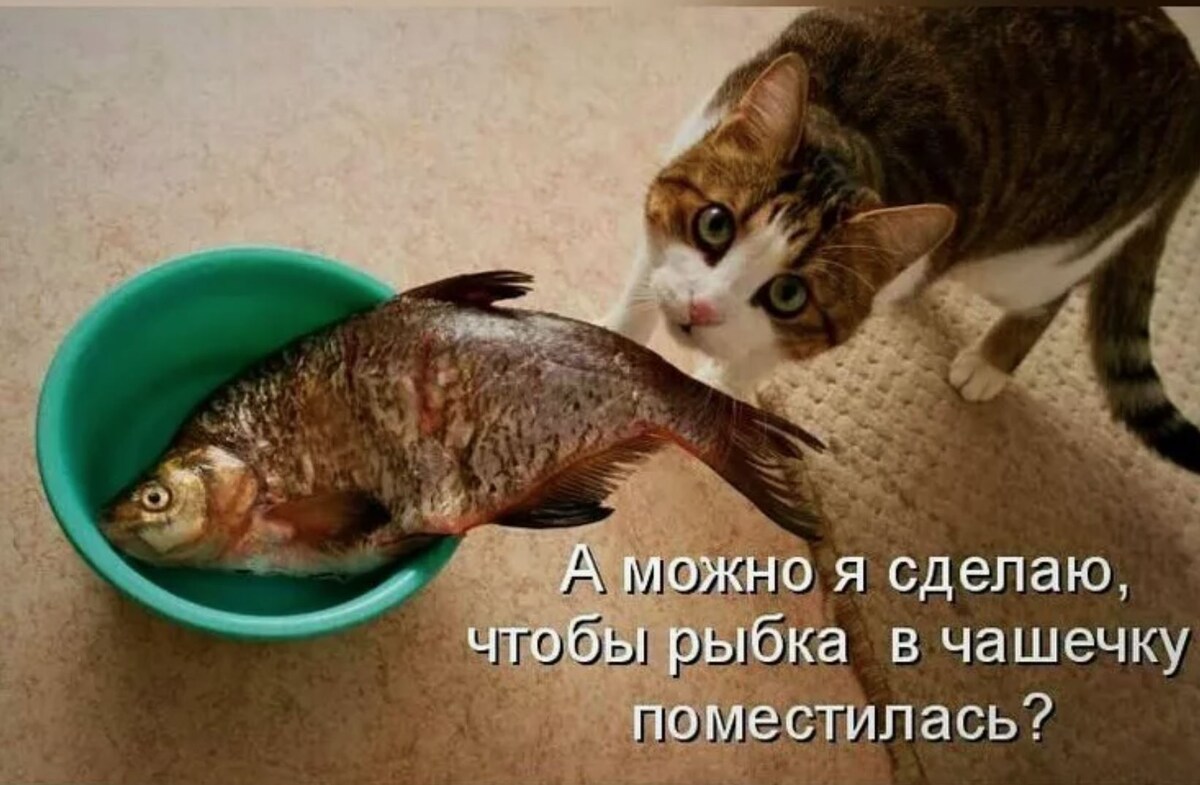 источник Яндекс-картинки