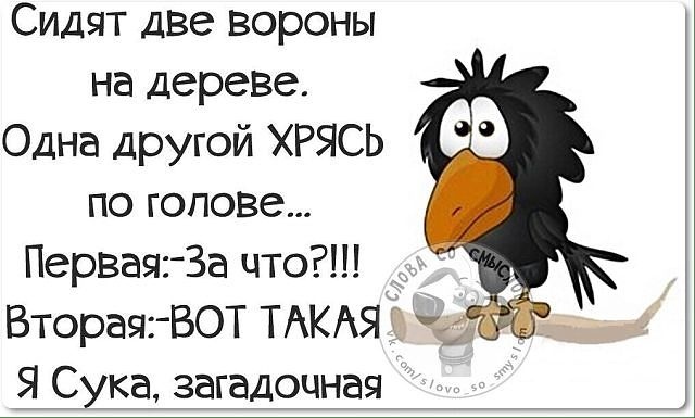 Картинка с просторов Интернета.