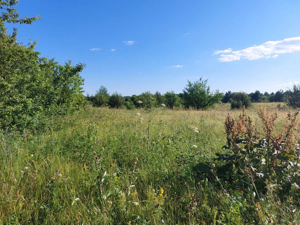 Немного летних фото вам в ленту