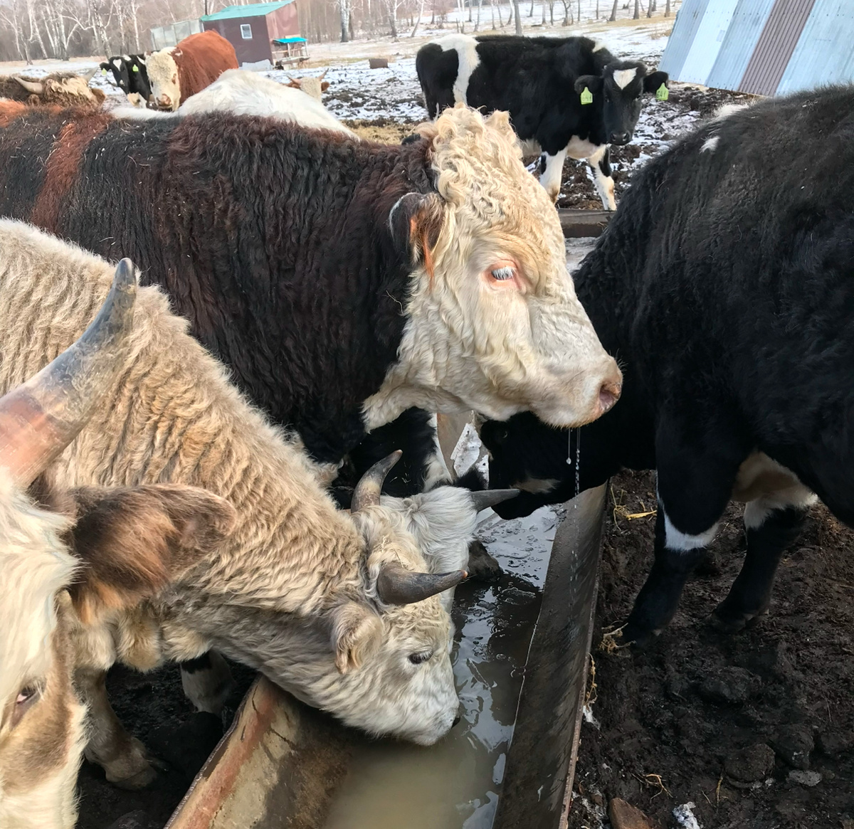 Авторское фото.