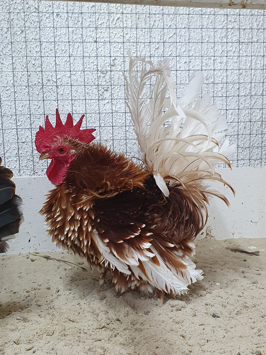 Фото Елены Атрощенко Беларусь