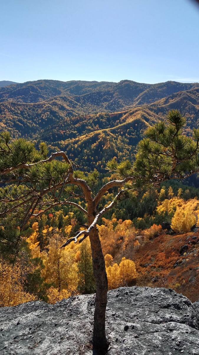 Фото автора канала