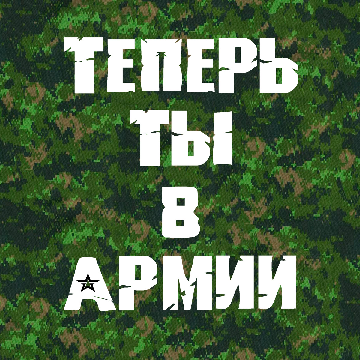 Теперь ты в армии 