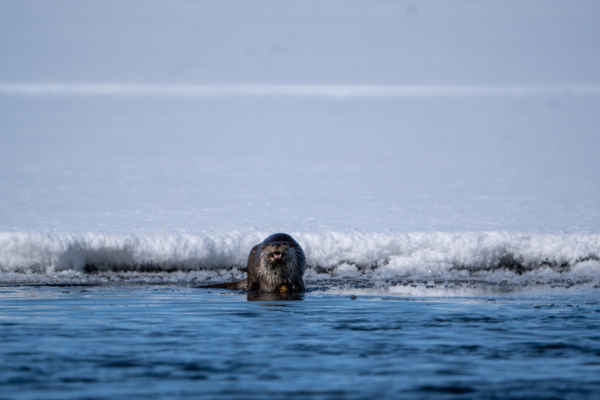 Фото Лубсана Чагдурова. Листайте галерею, чтобы увидеть все фото