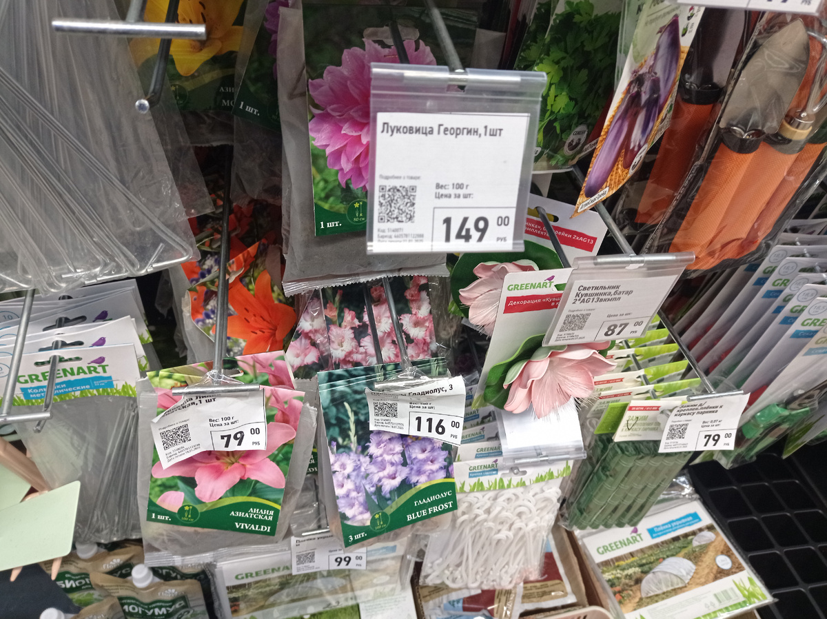 А это магазина в Фикс Прайсе - есть луковицы гладиолусов и георгтнов - цен приемлимые, поэтому закупилась