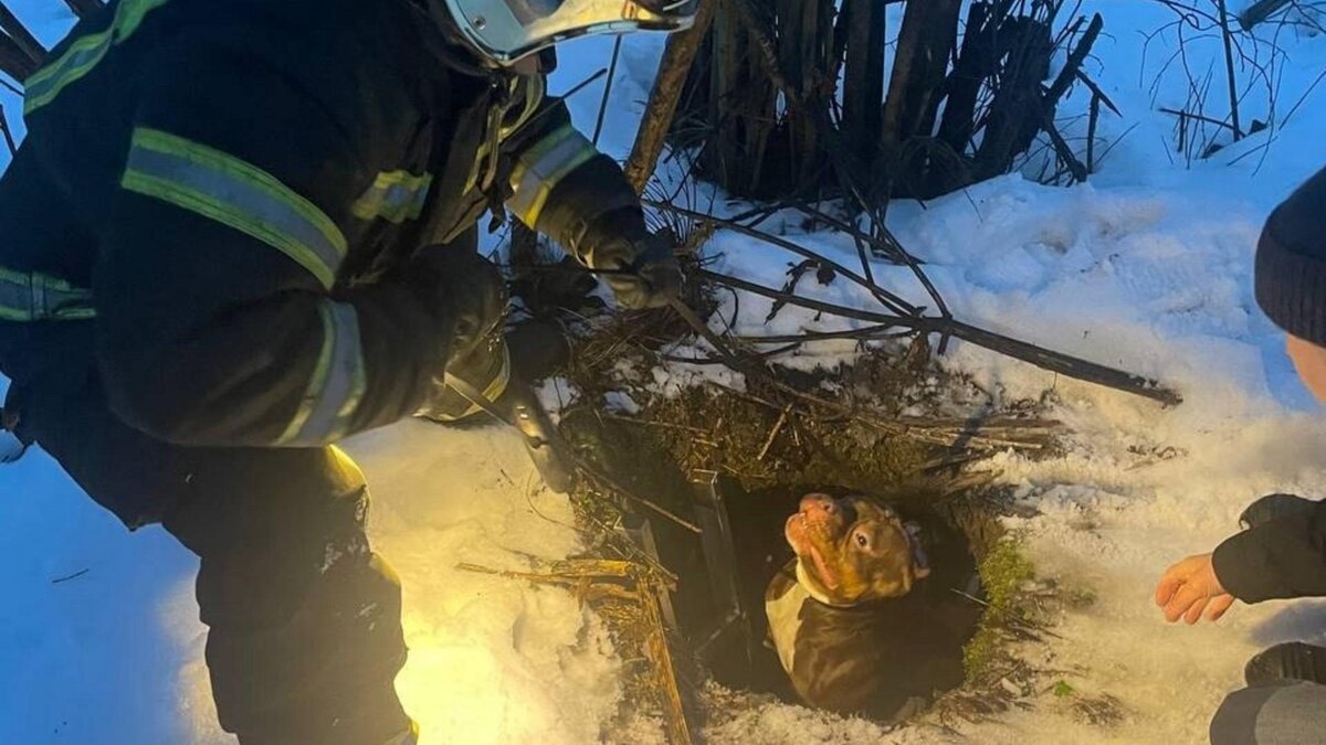    Фото: Соцсети