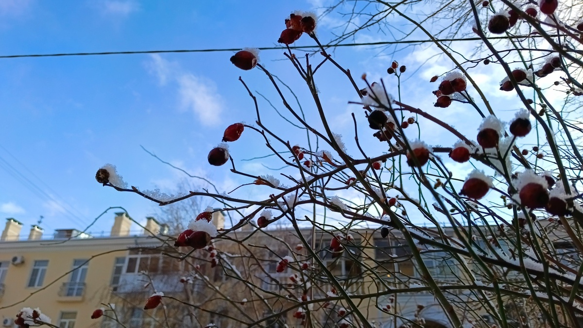     Источник: 1MI