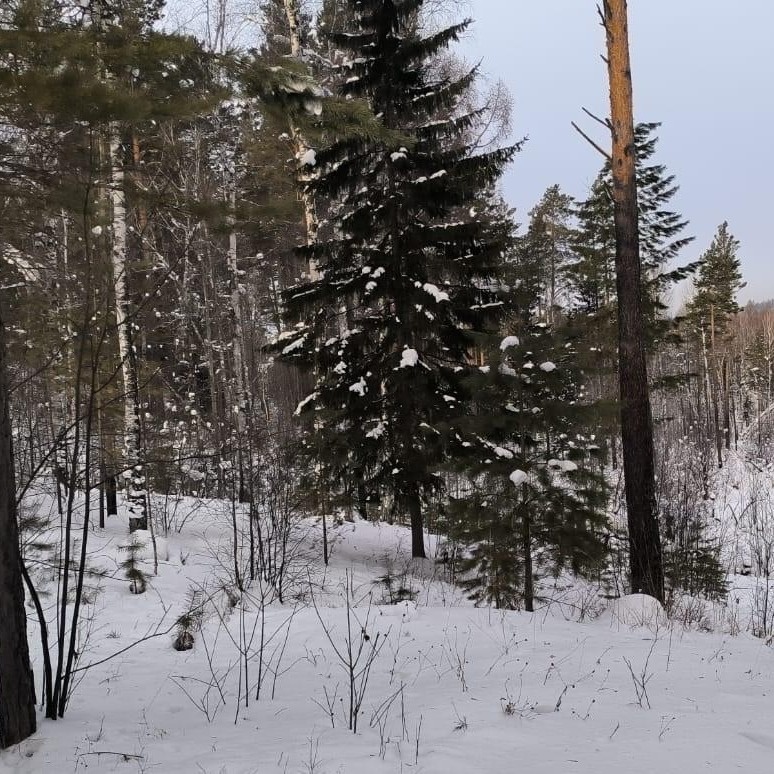 Разлив сточных вод обнаружили на Голоустненском тракте. Специалисты Службы Госэконадзора провели выездное обследование на 18 километре трассы в Ушаковском муниципальном образовании.