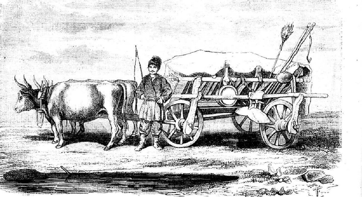 Примерно так выглядели переселенцы из Черкасс в Поволжье