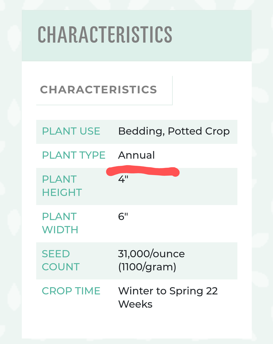 Описание примулы Danova с англоязычного сайта Sakata https://sakataornamentals.eu/product/danova/