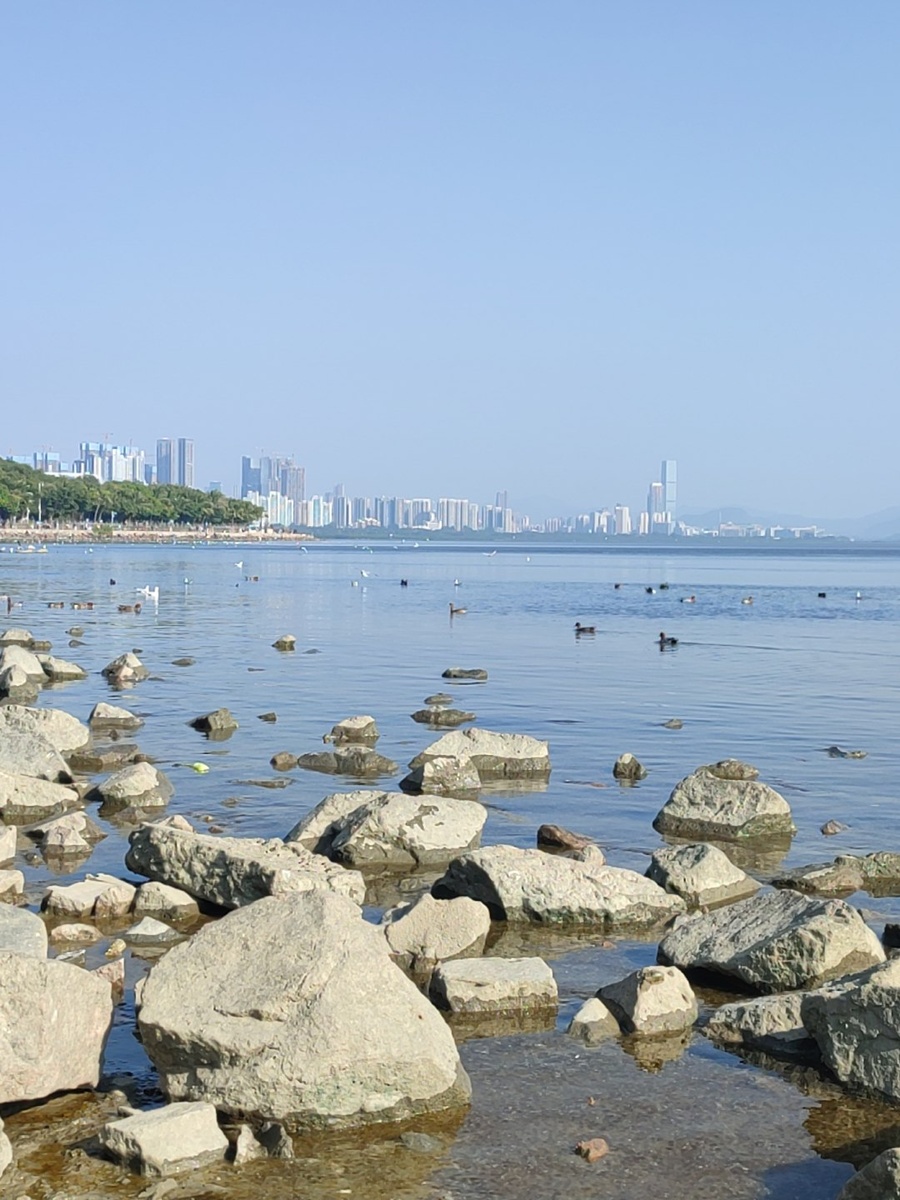 Shenzhen Bay Park & Mangrove Seashore Ecological Park
