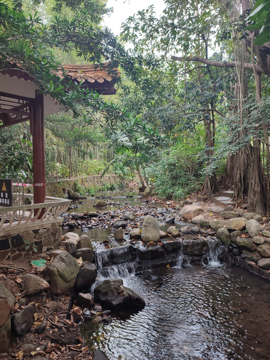 仙湖植物园, или Fairy Lake Botanical Garden