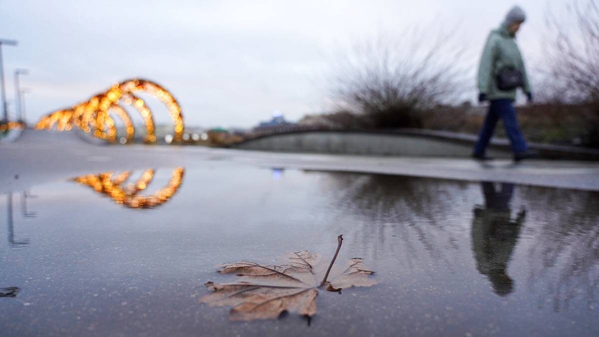    Фото: Александр Авилов / АГН Москва