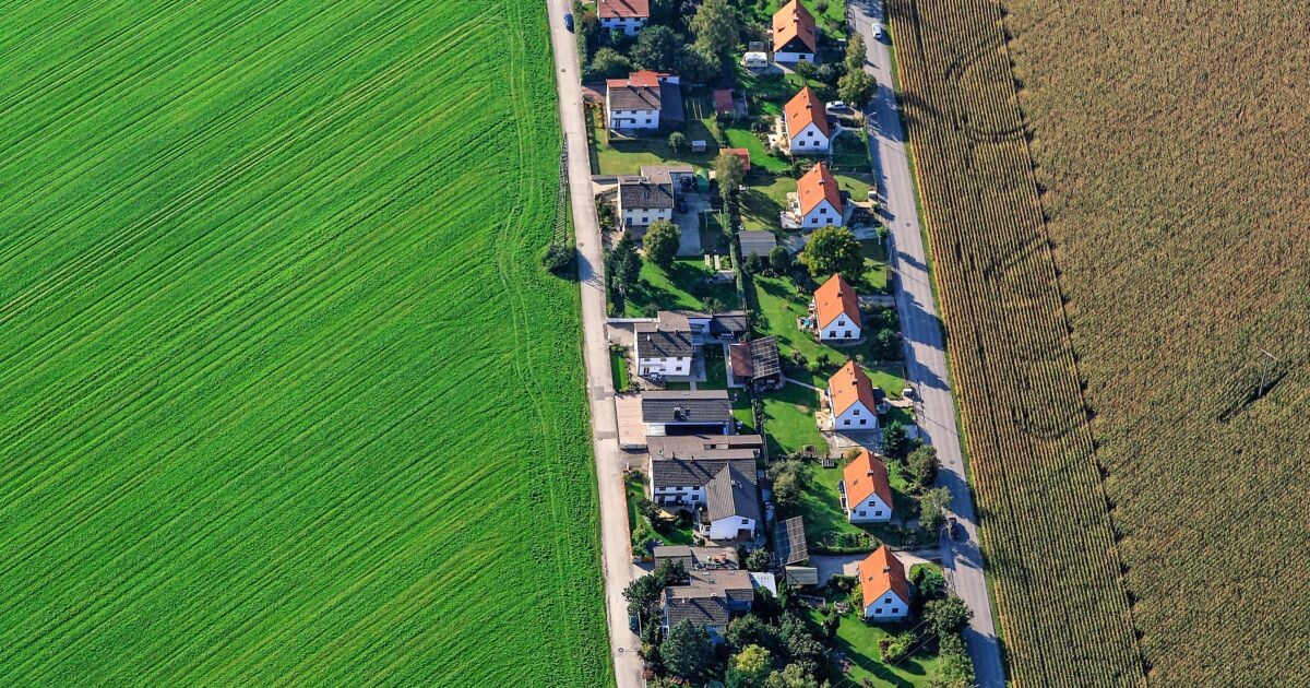 Площади сельхозземель уменьшились с 638 млн га в 1990 году до 244 млн га в 2024-м