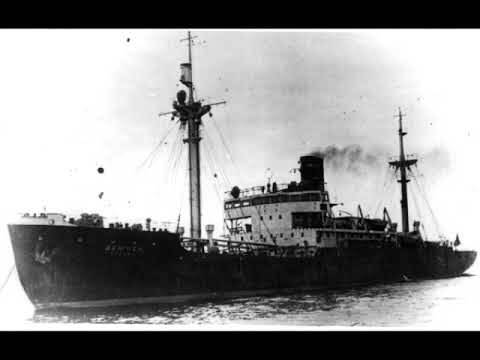 СКР 19 "Дежнев"