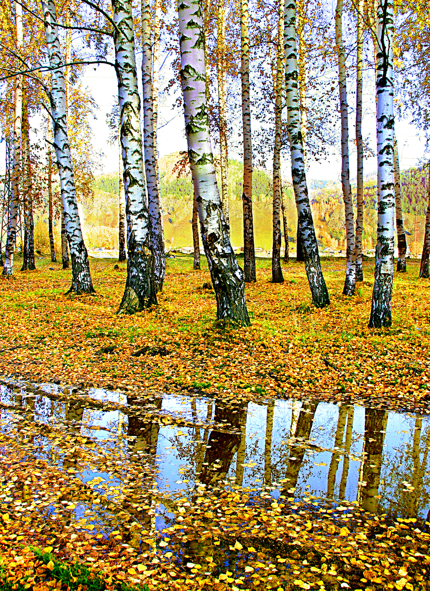 Фотография, стихотворение Василия Глуцкого