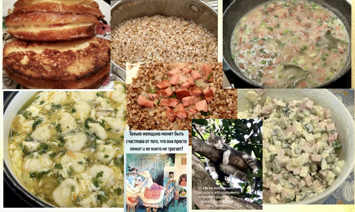 -Соседи соль займите!-Каждый день к нам ходите, ВЫ ЧЁ лоси!😂Юмор в картинках для позитива. И идея меню дня, что готовить: завтрак обед ужин