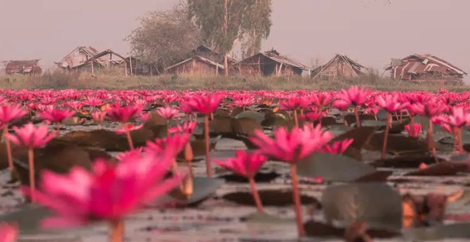 источник life-thai.com