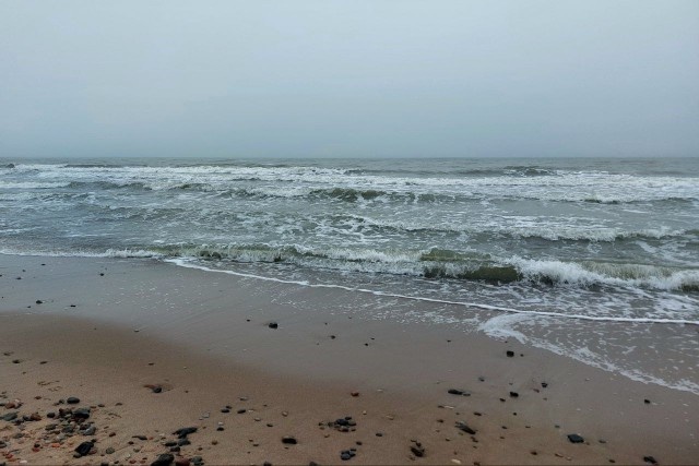   Фото из архива Калининград.Ru