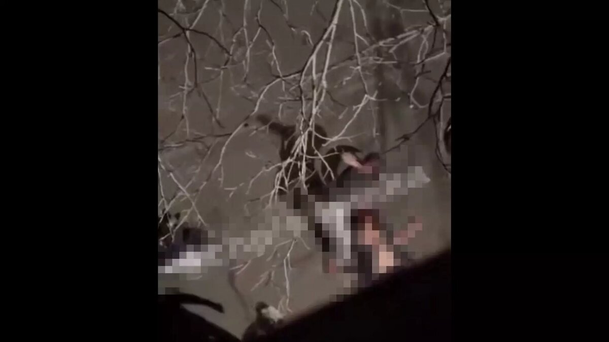     Источник: ГУ МВД России по СК