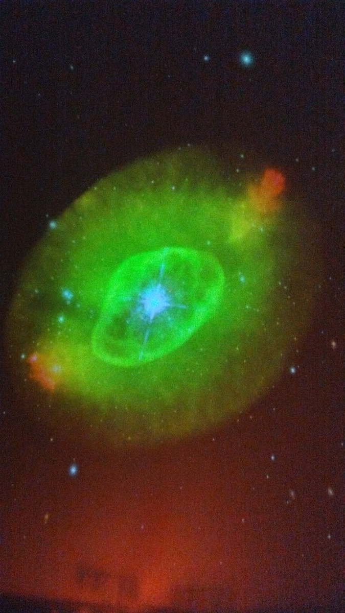 Здесь и далее - фото автора