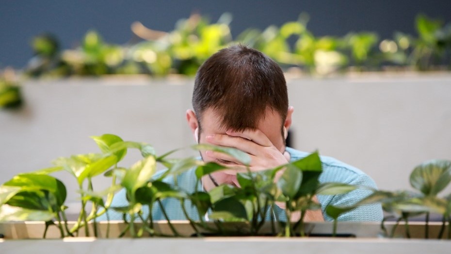    Автор фото: Сергей Коньков / "ДП"