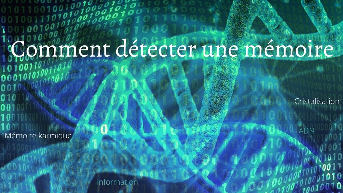    Мир биоинформатики для юных исследователей