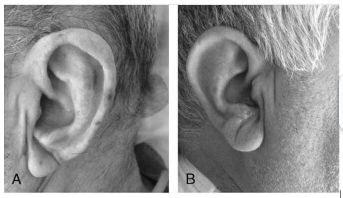 пуьликации Другой Кухни