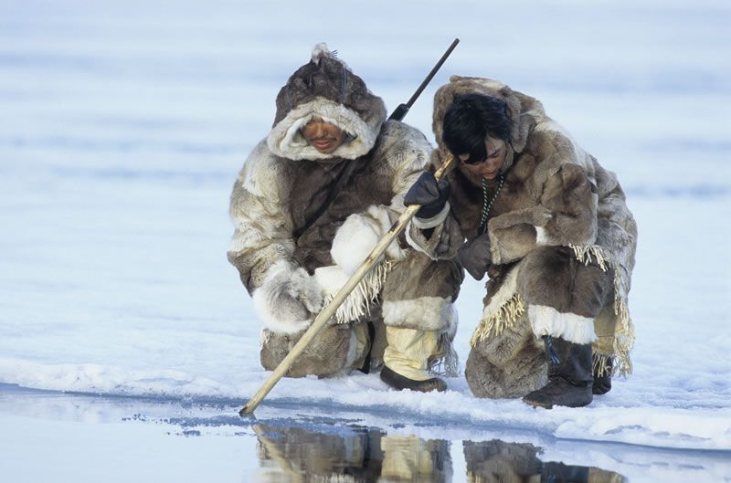 Эскимосы более известны как рыбаки и охотники на морского зверя