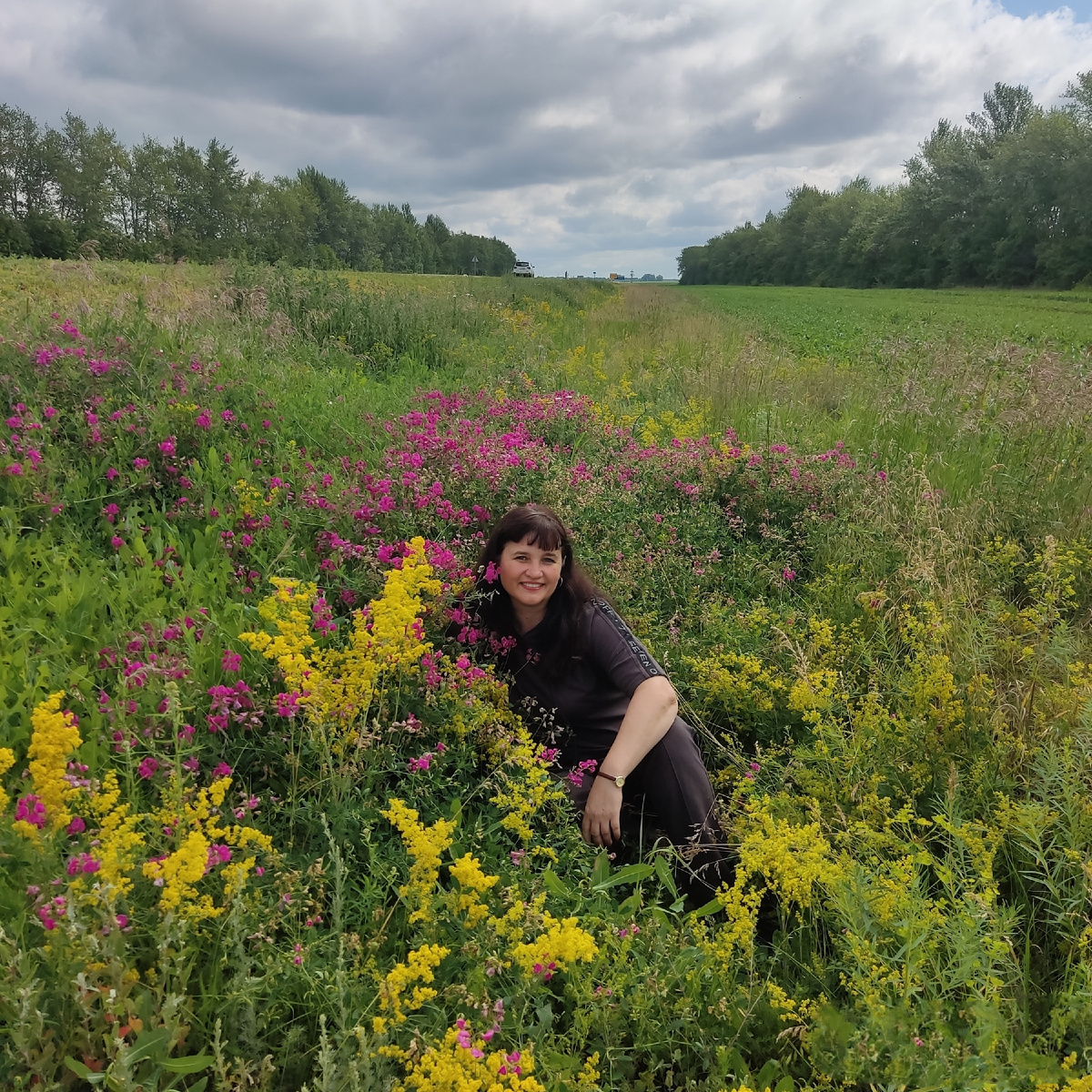 Дорога в цветах 