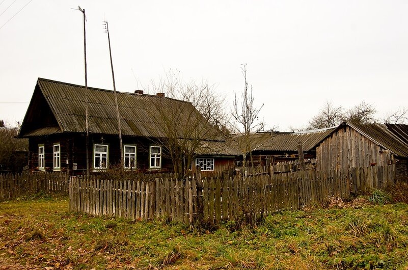 фото из открытого доступного источника сети интернет