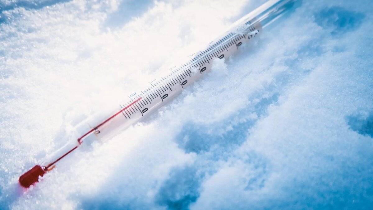     Источник: 1MI