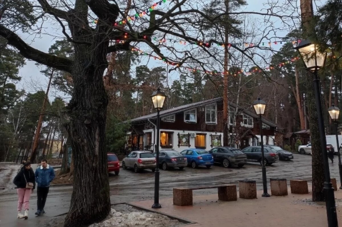    В эту зиму - почти без снега, зато удобнее гулять по лесу.